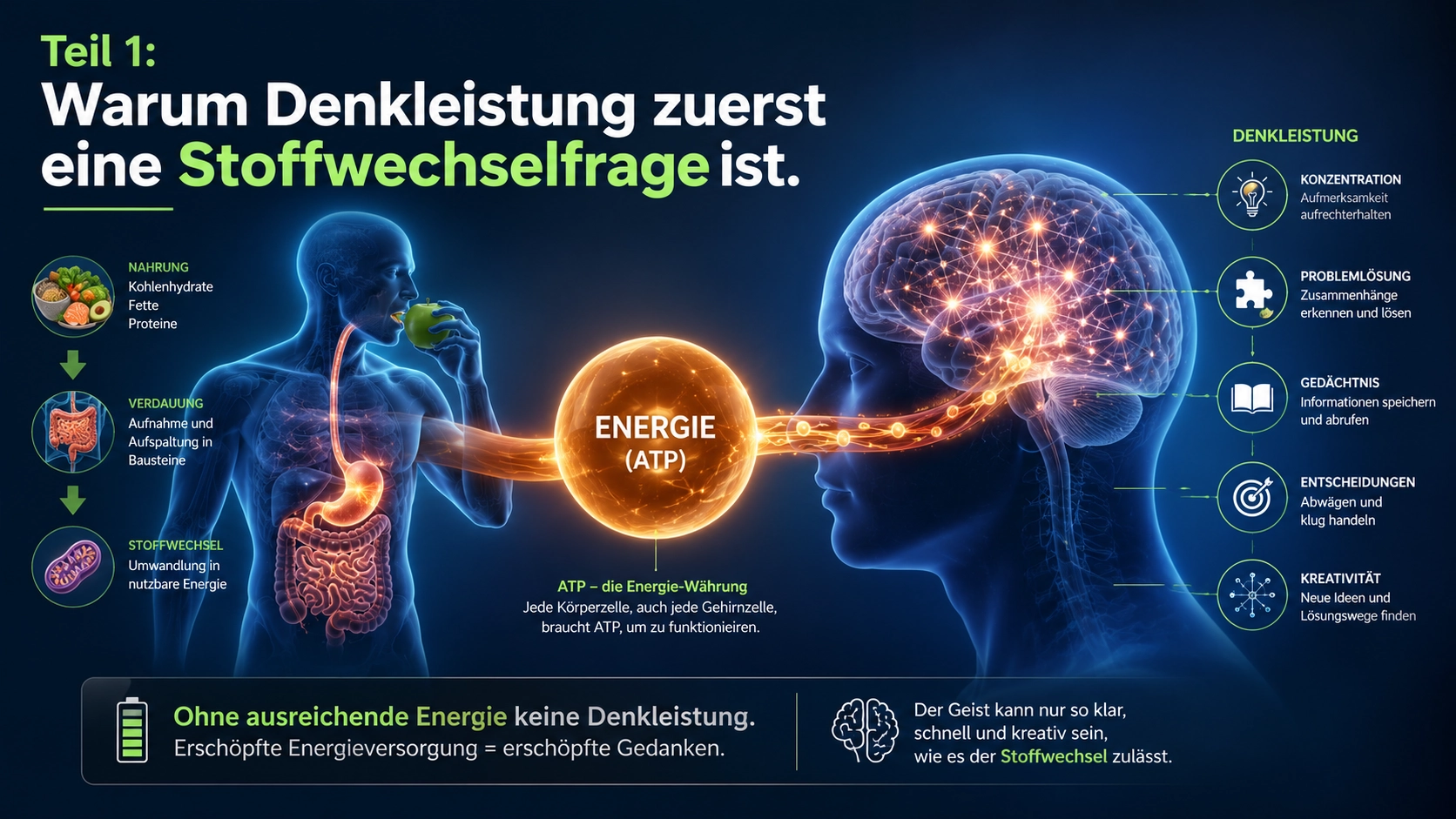 Teil 1: Warum Denkleistung zuerst eine Stoffwechselfrage ist.